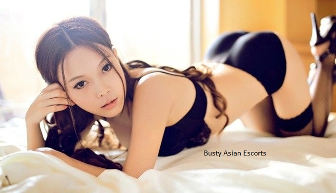 A Level Escorts in London Escorts